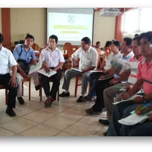 CURSO DE: FORMULACION DE PLANES DE DESARROLLO CONCERTADO LOCAL, PROVINCIAL Y DISTRITAL